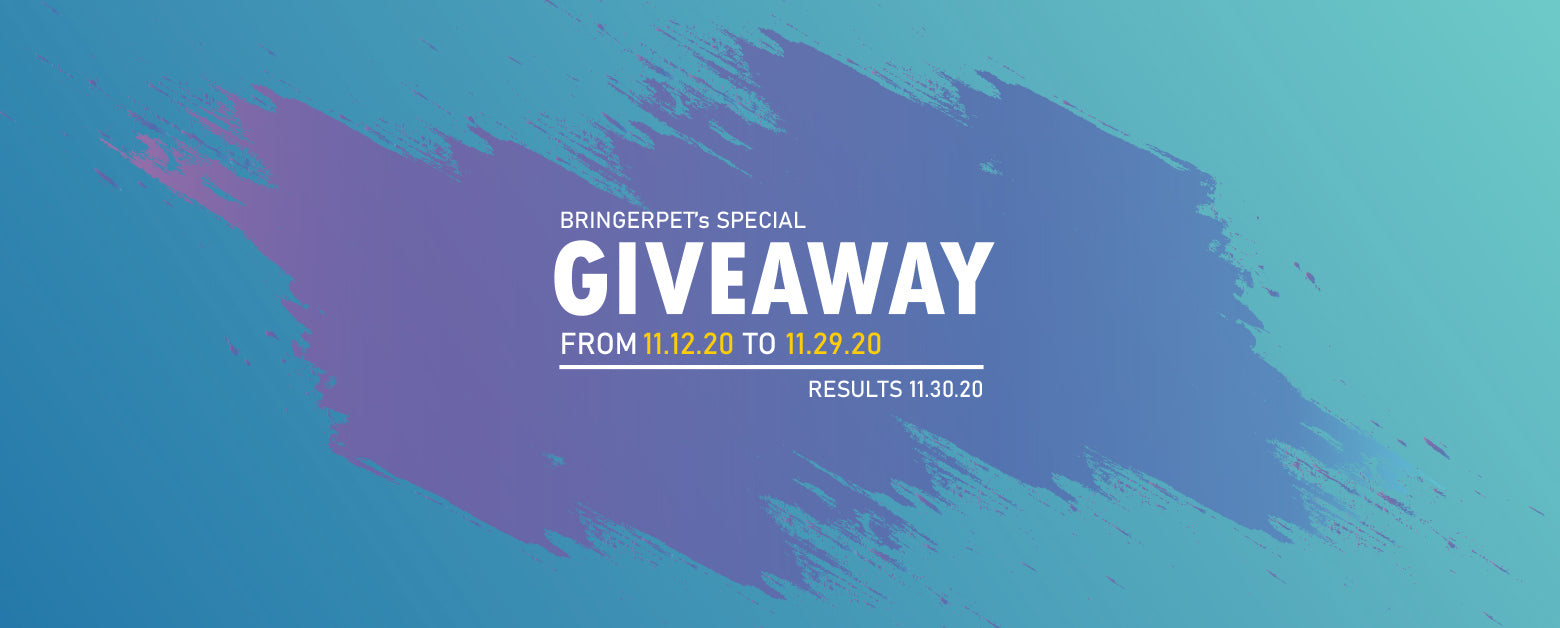 BringerPet's Black Friday Giveaway