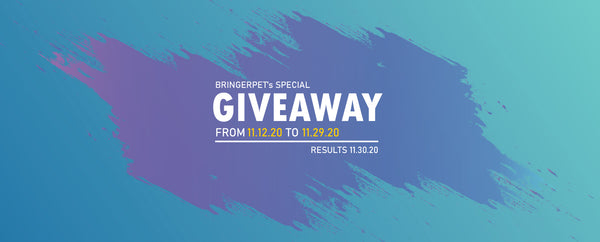 BringerPet's Black Friday Giveaway