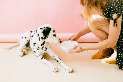 woman showing a dog an empty bowl