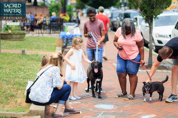 dogs socializing with people