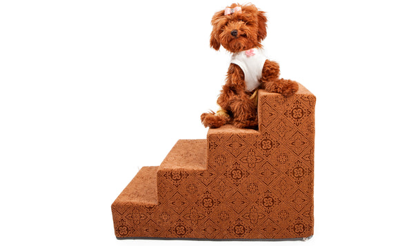 Why should buy dog steps and stairs?