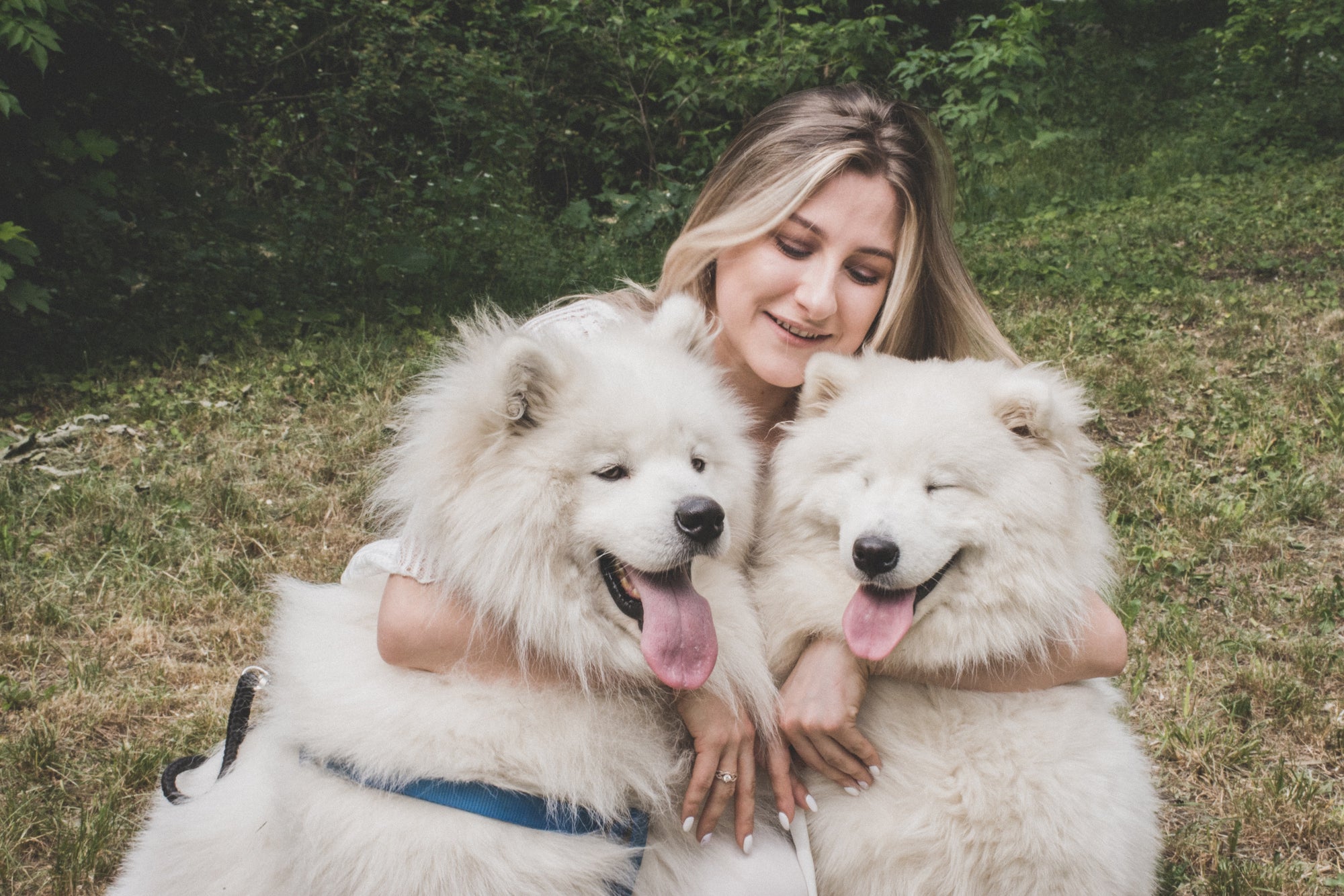 9 best products for cleaning up dog hair