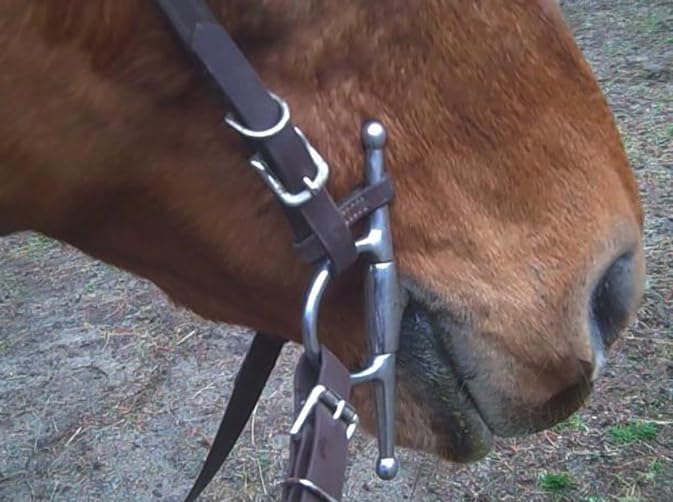 Bit Keepers Horse, Leather Bit Loops, English Bits for Horses, Fulmer Loops, Full Cheek Snaffle Bit Loops, Accessories for Horses
