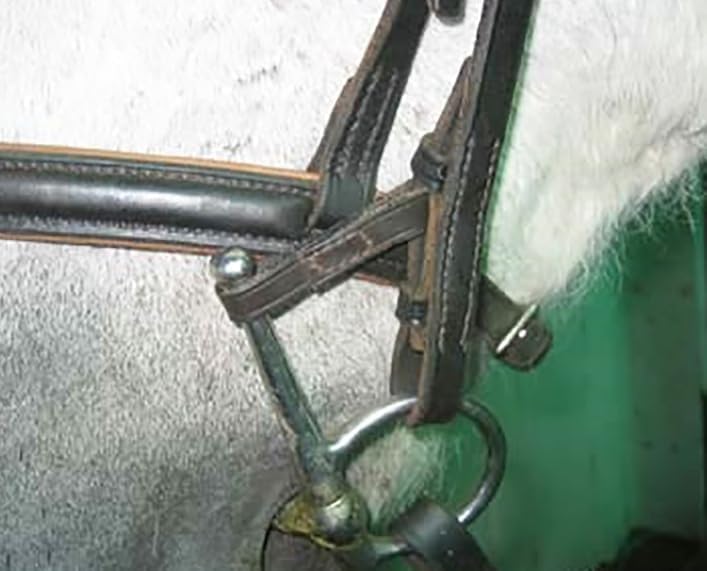 Bit Keepers Horse, Leather Bit Loops, English Bits for Horses, Fulmer Loops, Full Cheek Snaffle Bit Loops, Accessories for Horses