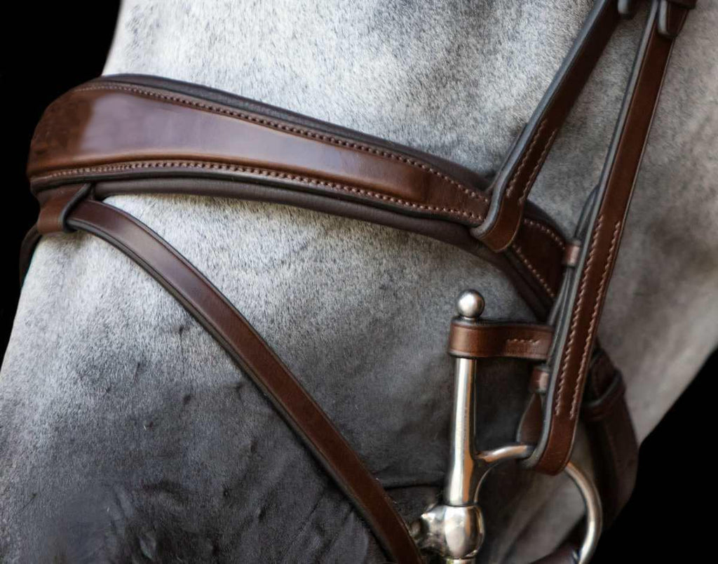 Bit Keepers Horse, Leather Bit Loops, English Bits for Horses, Fulmer Loops, Full Cheek Snaffle Bit Loops, Accessories for Horses