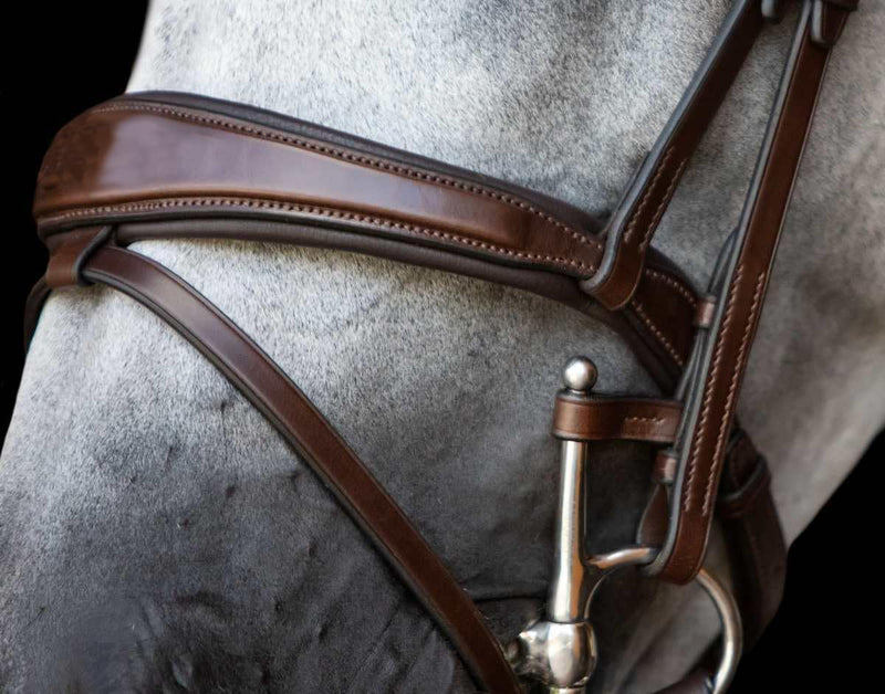 Bit Keepers Horse, Leather Bit Loops, English Bits for Horses, Fulmer Loops, Full Cheek Snaffle Bit Loops, Accessories for Horses