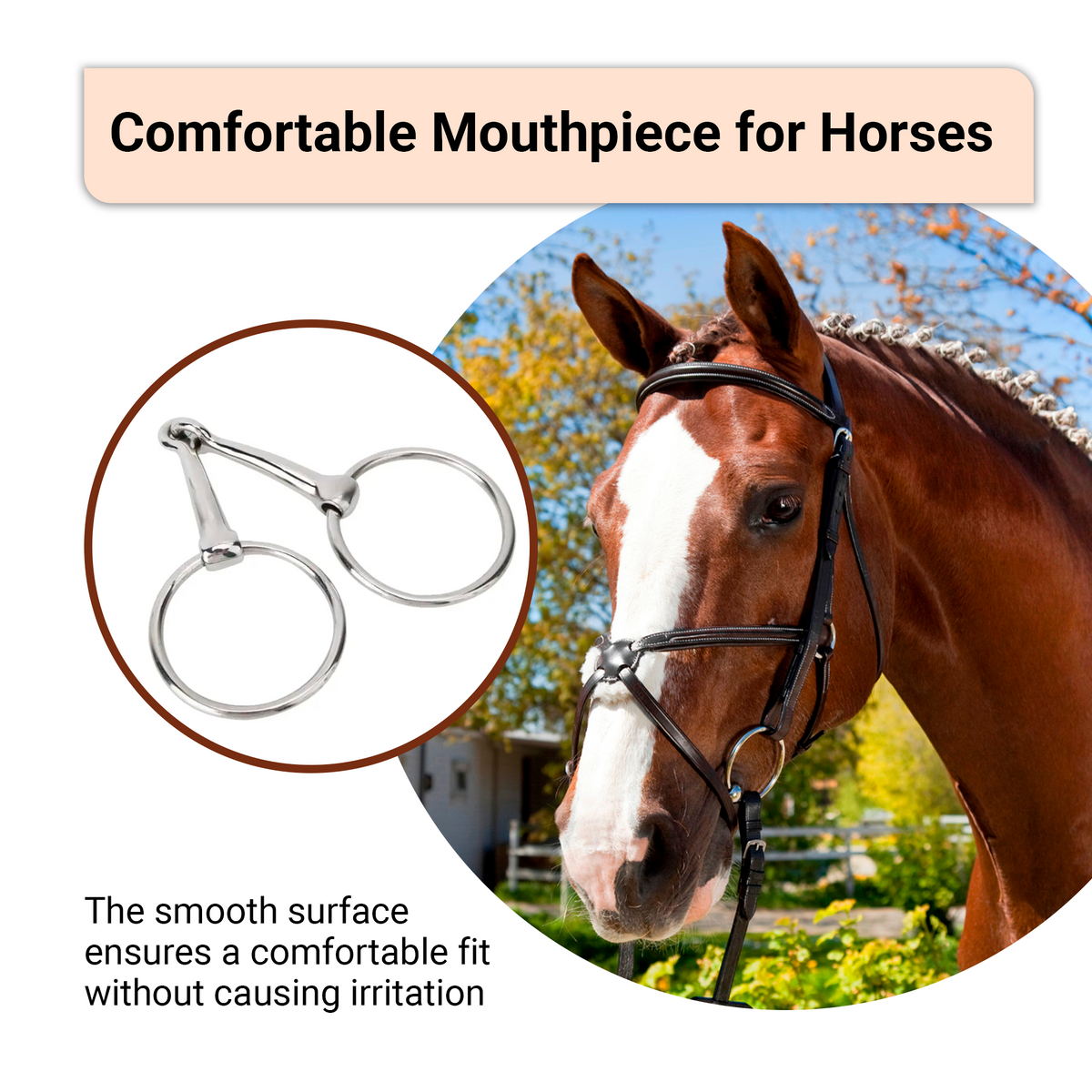 Ring Snaffle Bit for Horse, Iron, 5.5”