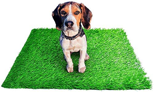 BRINGERPET Indoor Puppy Dog PET Potty Training Pee PAD MAT Tray Grass House Toilet W/Tray  20*25