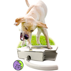 Dog Toy Water Fountain